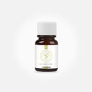 ニコチンソルトベース液B 30ml 200mg ベースリキッド ニコソルB ニコチンソルトB