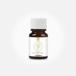ニコチンソルトベース液B 30ml 200mg ベースリキッド ニコソルB ニコチンソルトB