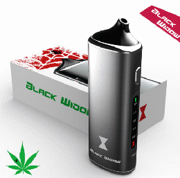 ヴェポライザー(Vaporizer) Kingtons Black Widow キングトンズ　ブラックウィドウ スターターキット