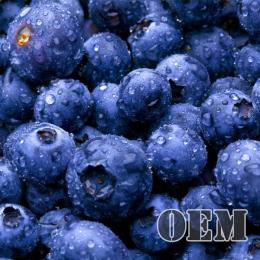 HiLIQ(ハイリク ) OEM 高濃度 フルーツ系 ブルーベリー E-リキッド 100ml　Blueberry