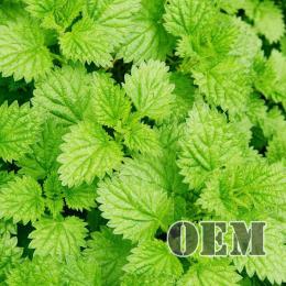 HiLIQ(ハイリク ) OEM 高濃度 メンソール E-リキッド 120ml(10ml×12本セット)　Menthol