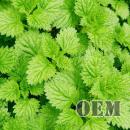 HiLIQ(ハイリク ) OEM 高濃度 メンソール E-リキッド 60ml　Menthol