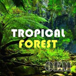 HiLIQ(ハイリク ) OEM 高濃度 トロピカルフォレスト E-リキッド 100ml　Tropical Forest